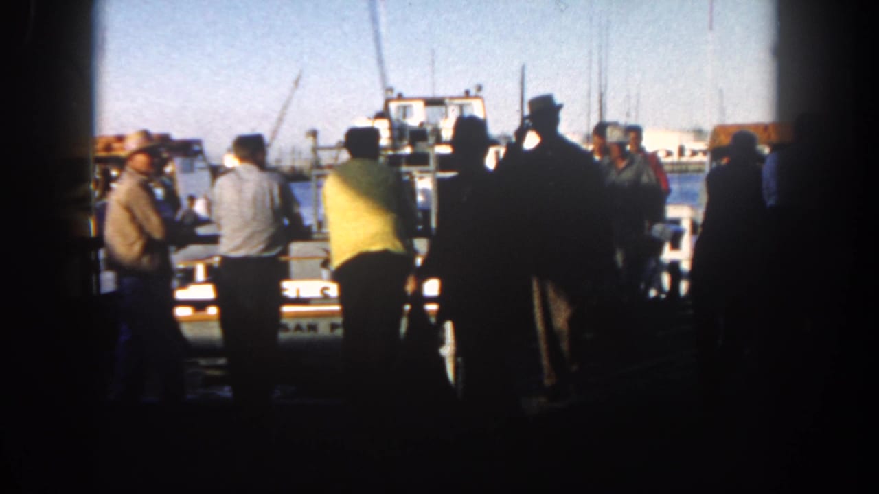 1962 San Diego harbor view with adults in silhouette on a dock, bright boats and masts visible beyond the shaded foreground.