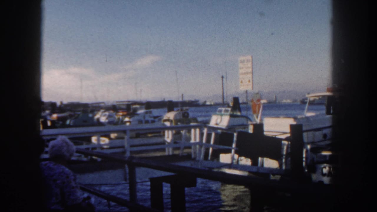 Harbor boats sit beside a pier as a person watches from the lower left foreground.