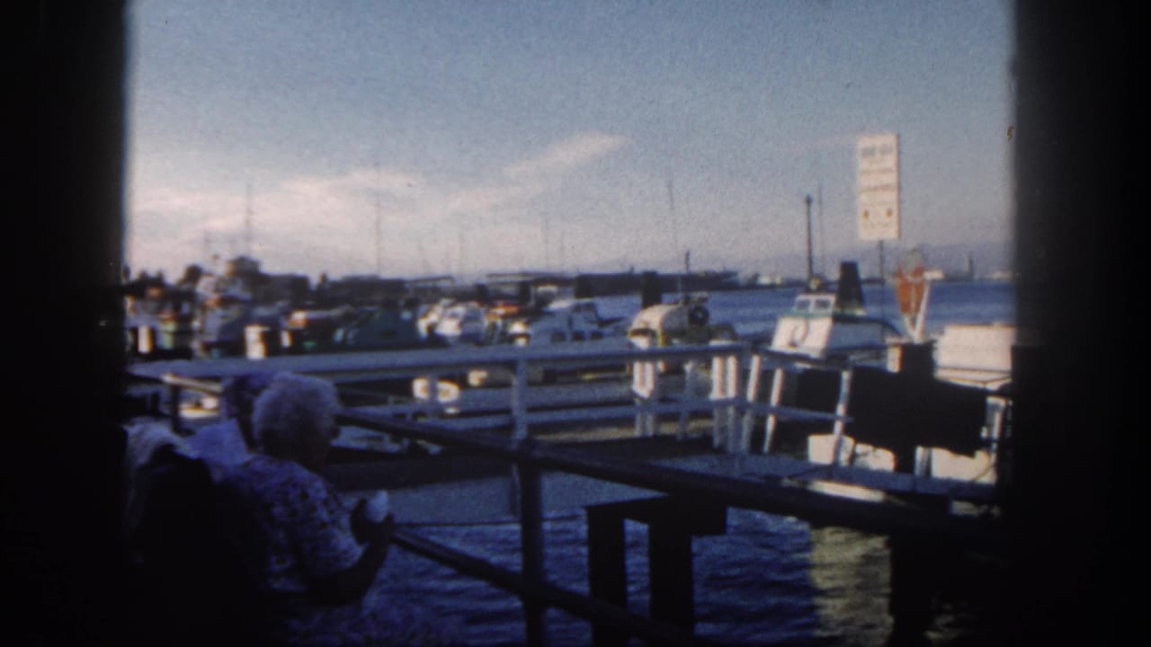 Seated woman watches boats from a shaded dock area beside harbor water.