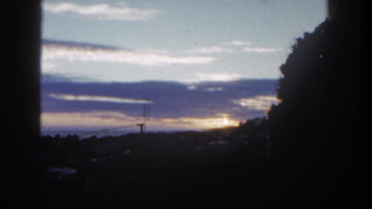 Sunset glow under layered clouds with a dark tree silhouette on the right.
