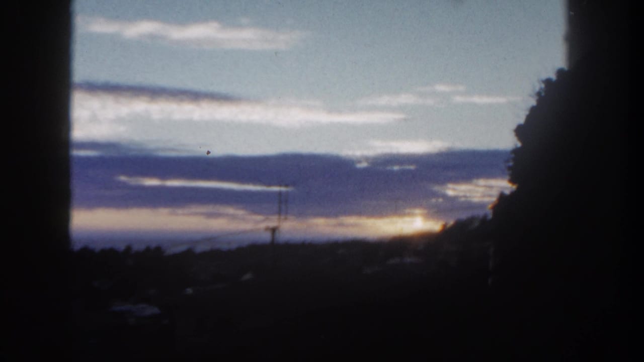 Low sun near the horizon behind clouds, framed by dark trees and a window-like foreground.