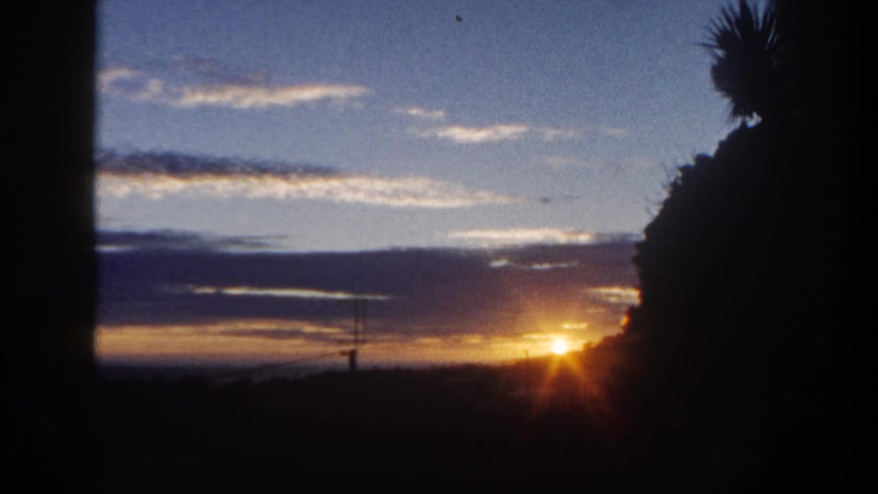 Sunset over a dark horizon with blue sky, clouds, trees, and a distant utility pole.