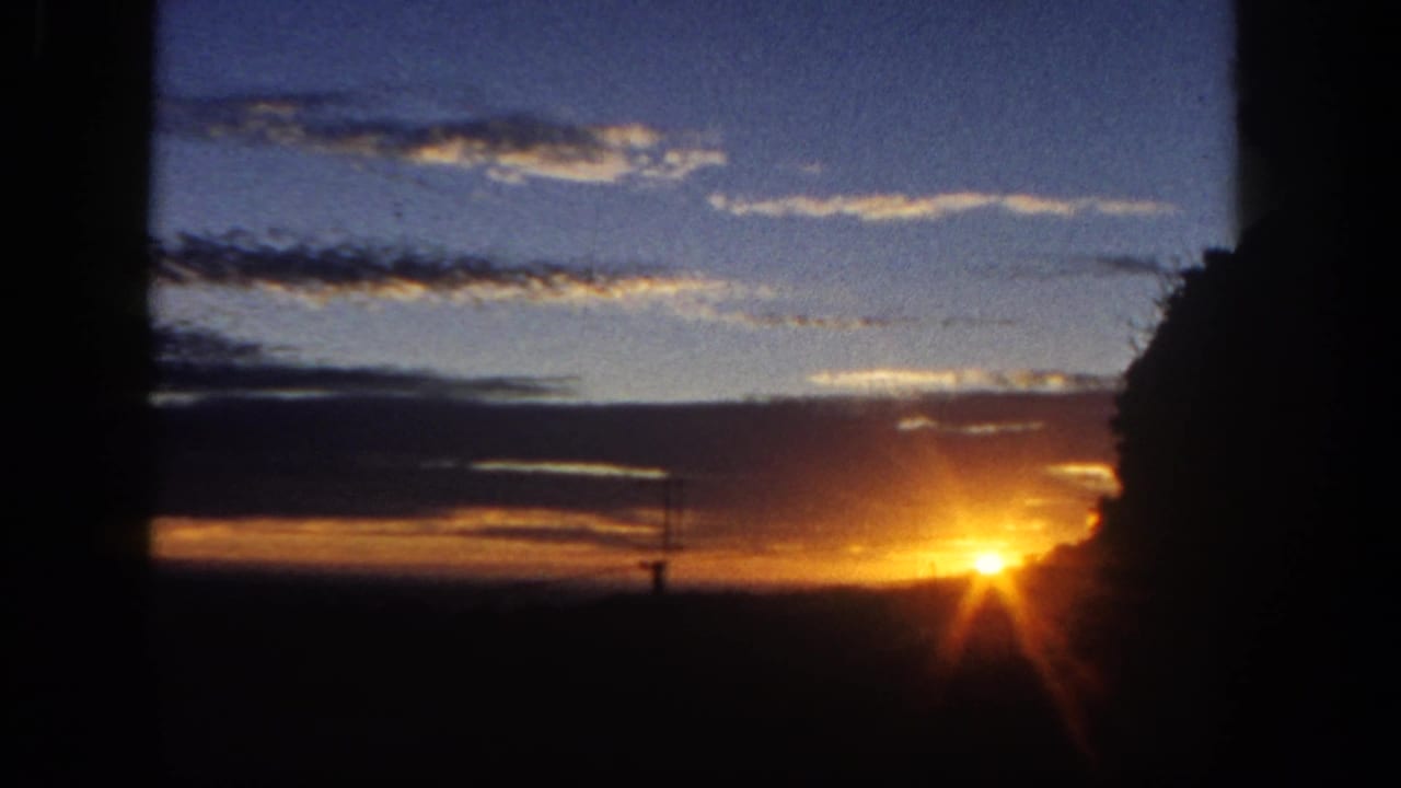 Sunset near a dark horizon with blue sky, orange clouds, treetop silhouette, and a distant utility pole.
