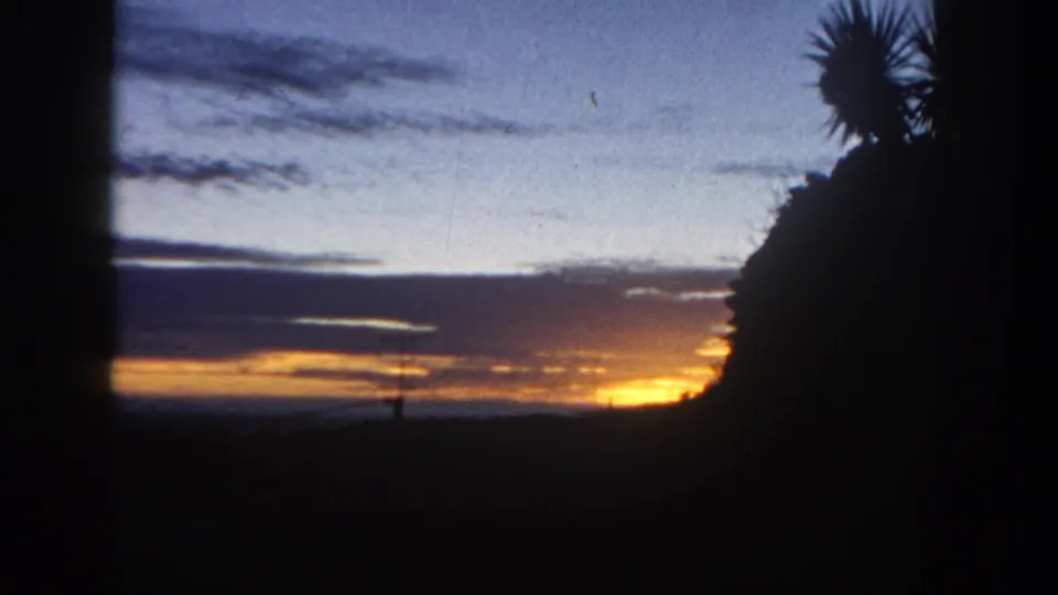 1962 San Diego-area 8mm frame with a late orange sunset, silhouetted trees, a spiky palm-like crown, and deep shadowed foreground.
