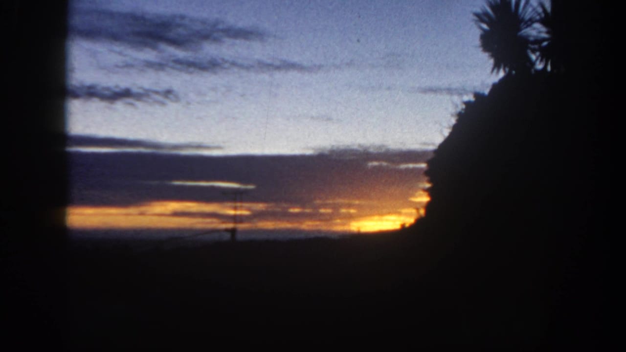 Dark palm and hillside silhouettes against an orange and blue sky near the horizon.