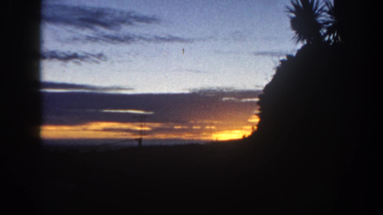 1962 San Diego 8mm frame with a bright horizon, layered clouds, and wind-shaped palm silhouettes at the edge of the view.