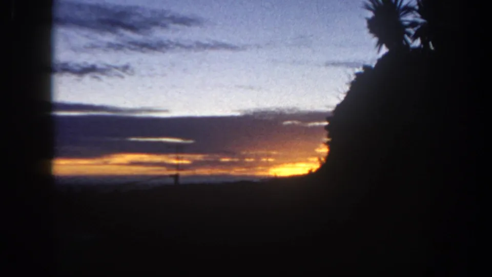 1962 San Diego 8mm frame capturing a wind-swept palm silhouette beside a bright sunset or sunrise horizon.