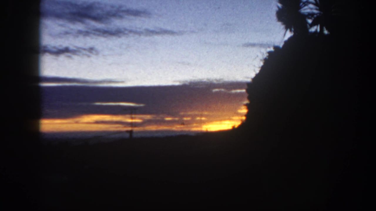 1962 San Diego home-movie frame showing a sunset sky behind dark palm and foliage silhouettes.