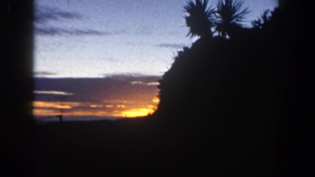1962 San Diego frame with palm silhouettes and a dim sunset glow near the horizon.