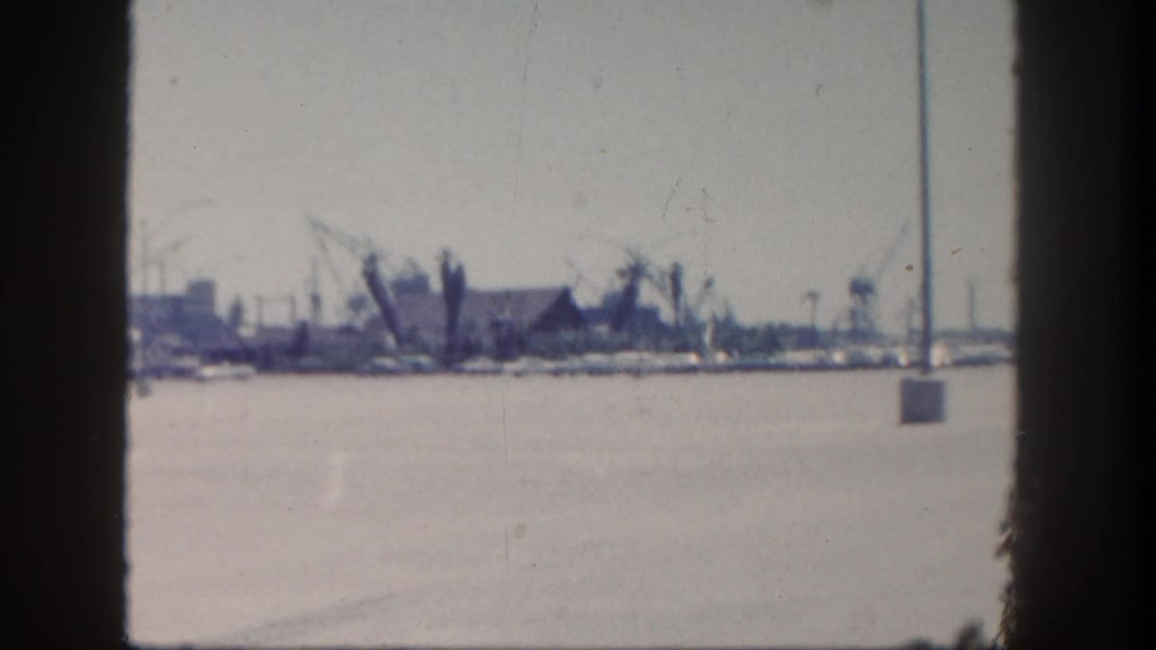 Harbor seen past dark palm trunks with boats, cranes, roadway, and hazy sky.