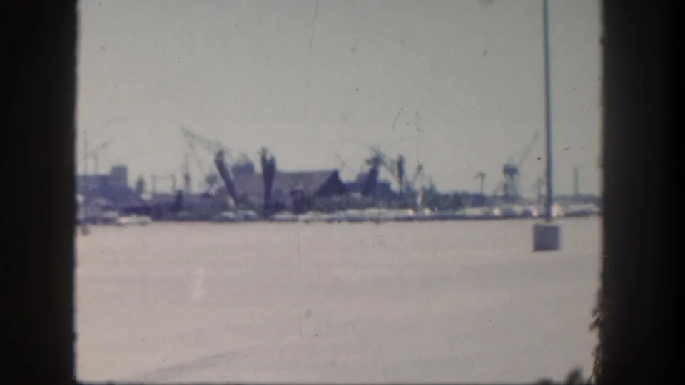 1962 San Diego harbor view from a moving roadside vantage, with palm trunks framing boats and industrial cranes in the distance.