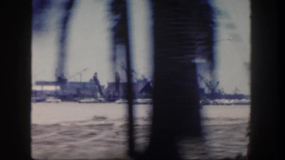 Moving 8mm frame from San Diego showing palm trunks and film edge over a harbor scene with water, cranes, and distant waterfront structures.
