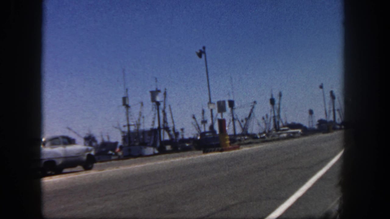 Road beside a fishing harbor with boats, masts, a white sedan, and dark car-window framing.
