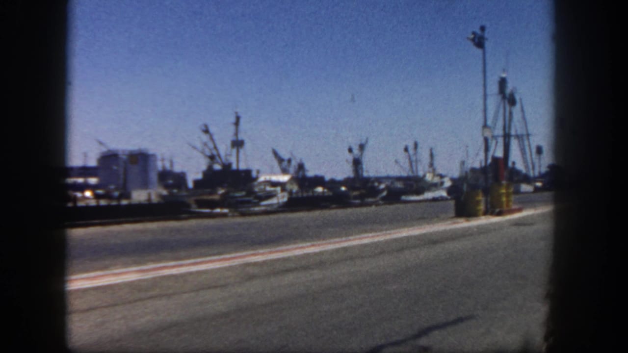Roadside view of San Diego harbor with boats, cranes, poles, and a red curb.