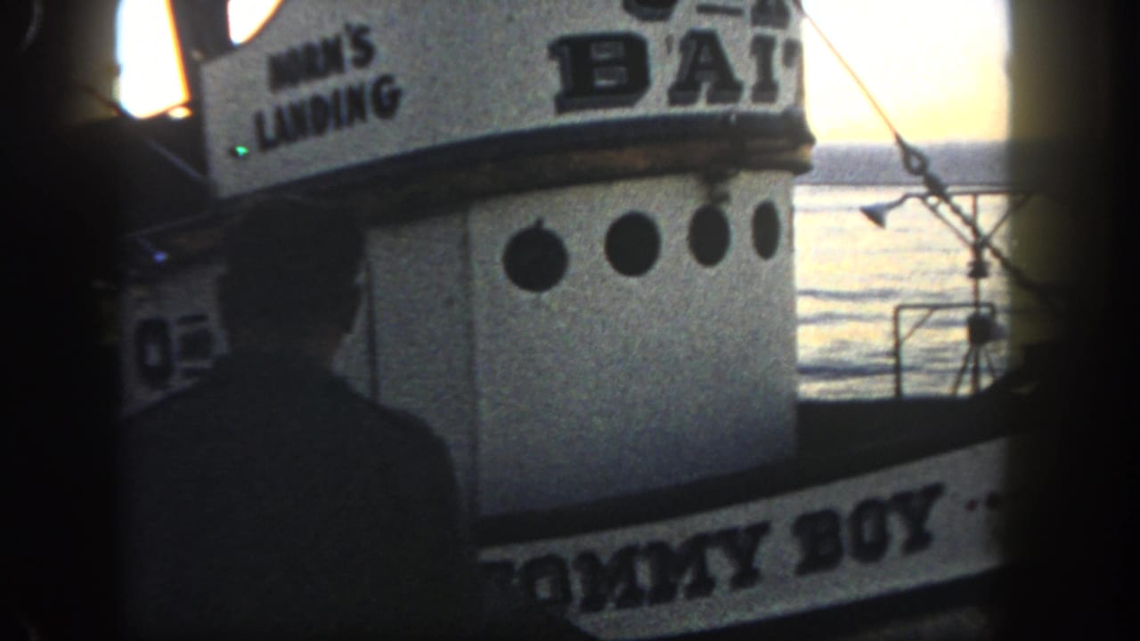Close 1962 San Diego dock view of a bait boat cabin with O AND K BAIT lettering, round portholes, rigging, and backlit water.