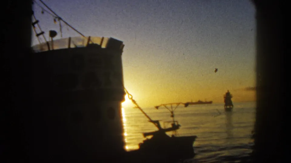 1962 San Diego 8mm still with bright sun glare on calm water, a nearby silhouetted boat, rigging, and a distant buoy or harbor marker.