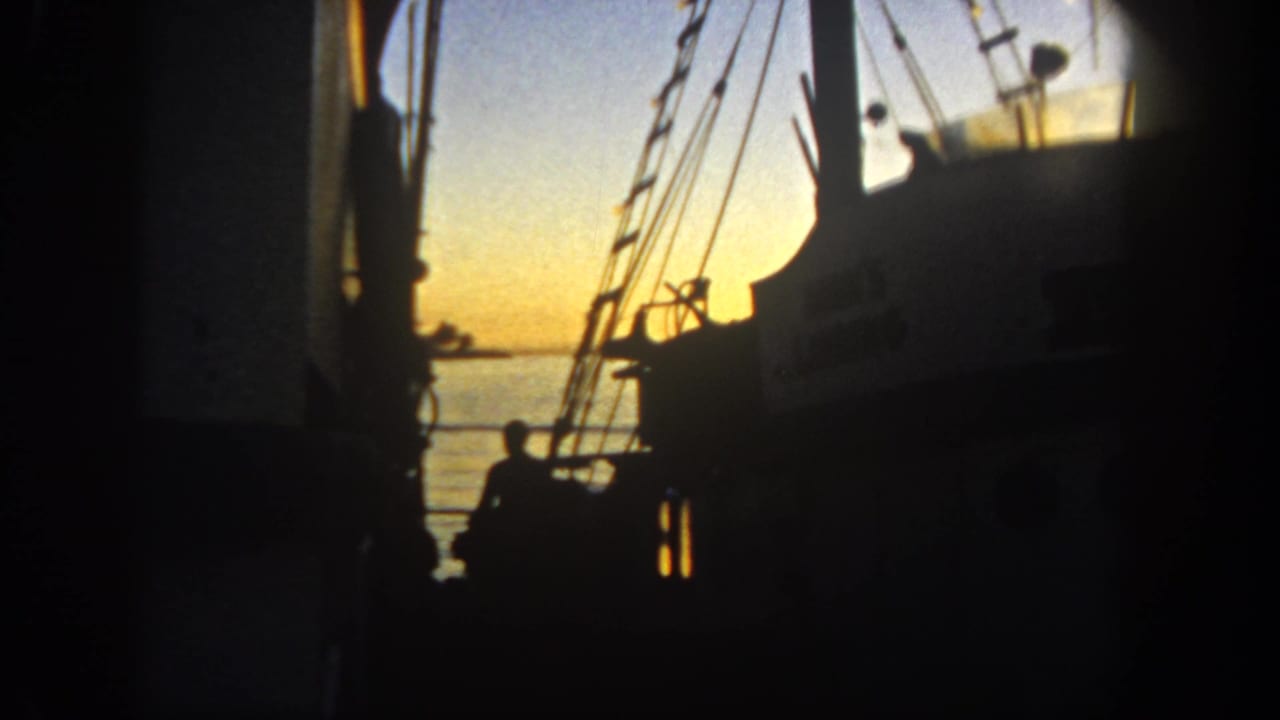 Silhouetted boat rigging and a person near the water at sunset.