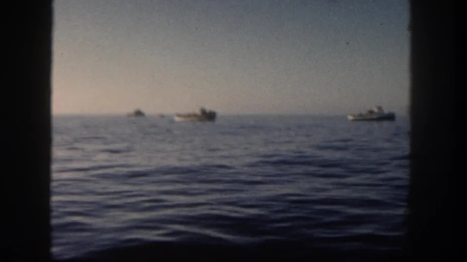 Multiple small boats appear on the horizon in 1962 San Diego maritime footage, possibly part of an evacuation scene.