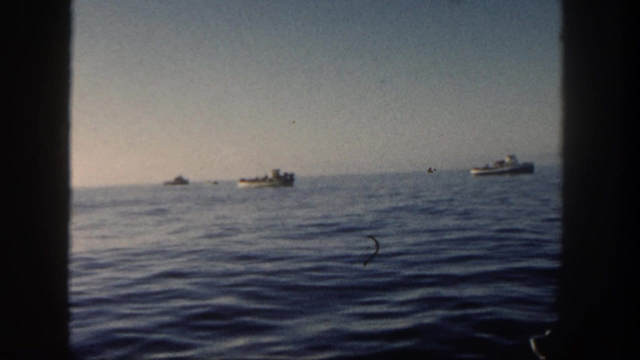 1962 San Diego 8mm frame showing several distant boats on calm ocean water through a dark porthole-like frame.