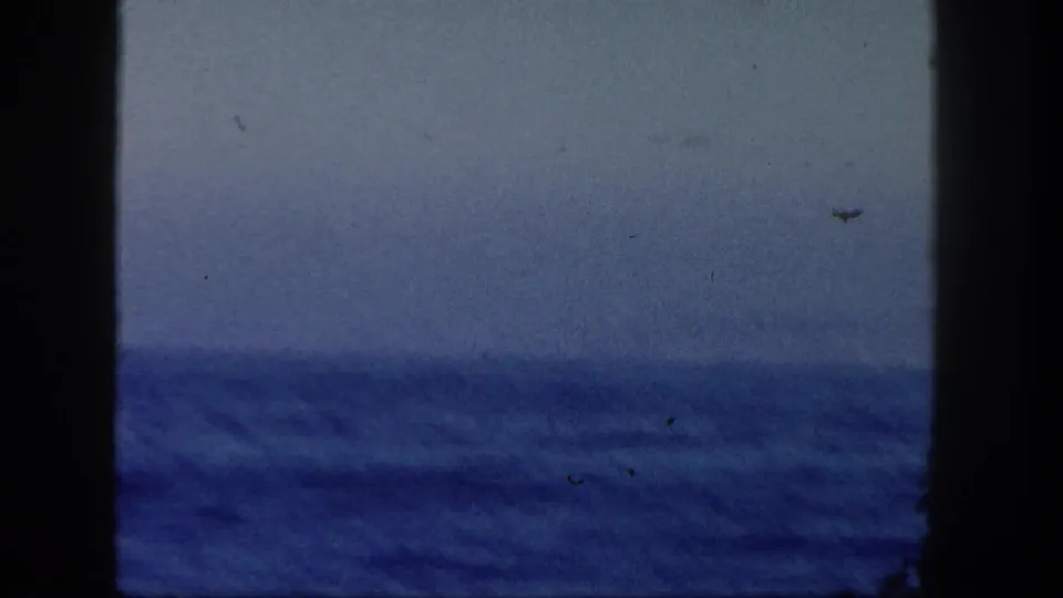 Soft 8mm view of open water and a hazy horizon, framed by dark vertical edges from the filming position.