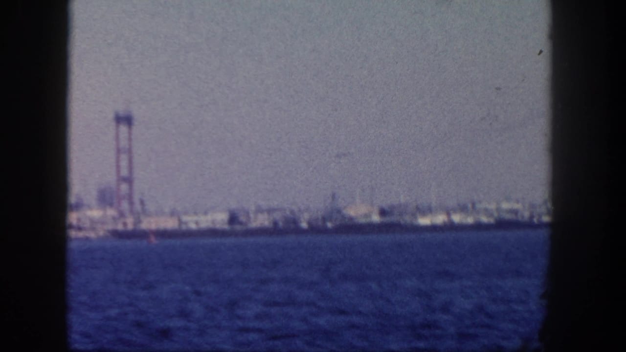 Distant waterfront with blue water, hazy sky, and a red bridge or tower structure at left.
