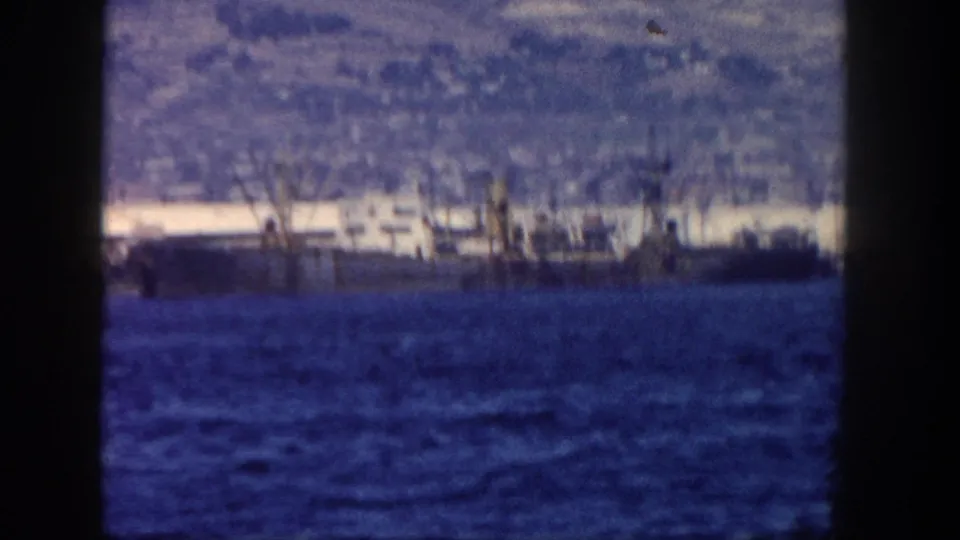 Soft 8mm view of San Diego harbor shoreline, with dock structures or masts beyond choppy blue water.
