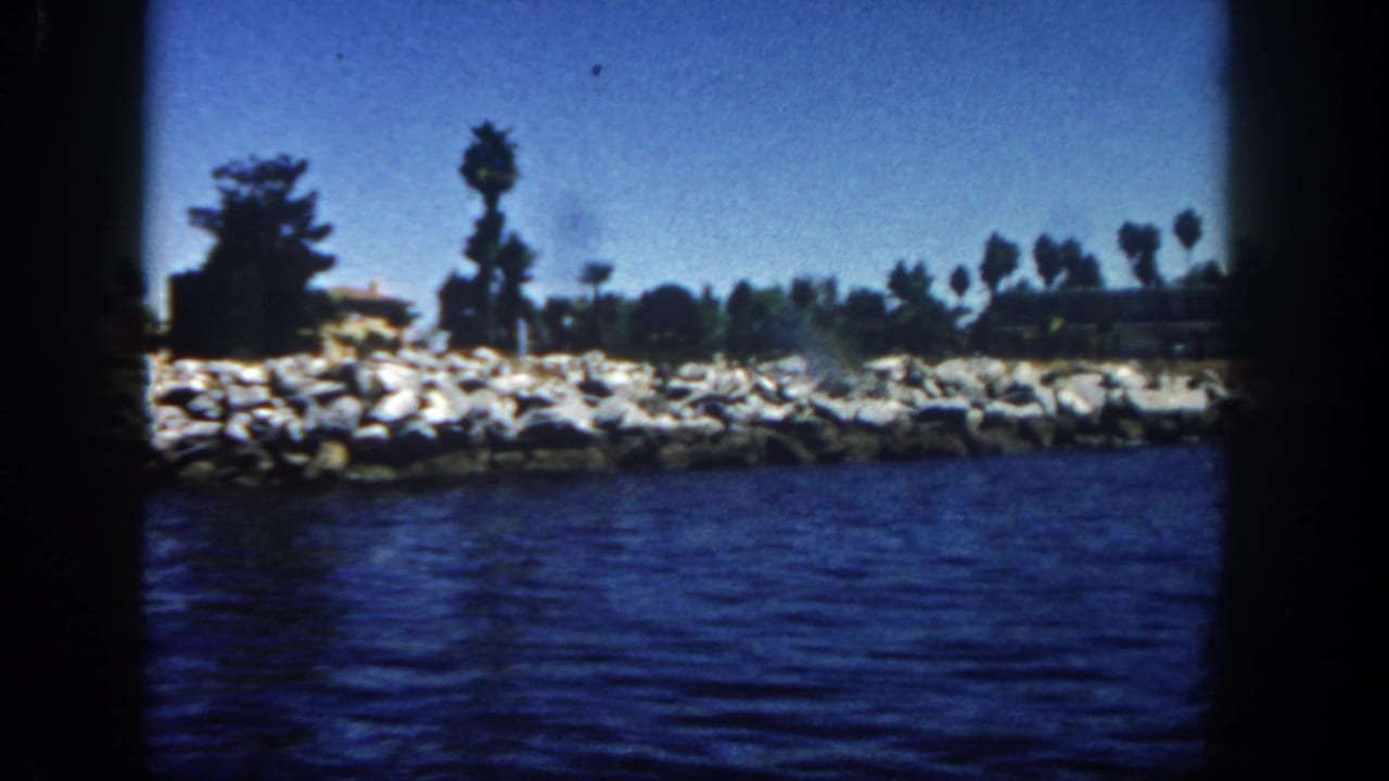 Blue water in front of a rocky, sandbagged shoreline with palm trees and low buildings.
