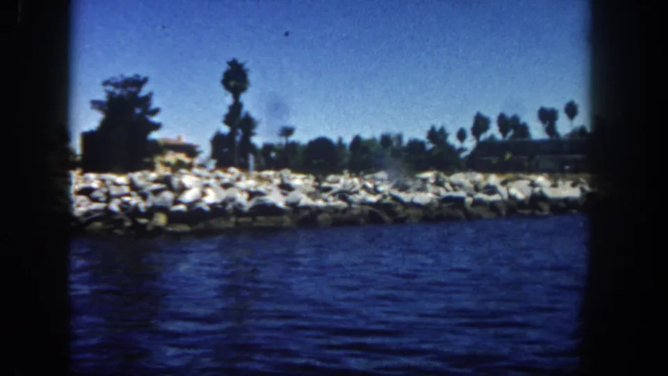 1962 San Diego coastal view from a boat, showing blue water, shoreline rocks or sandbags, palm trees, and low waterfront structures.