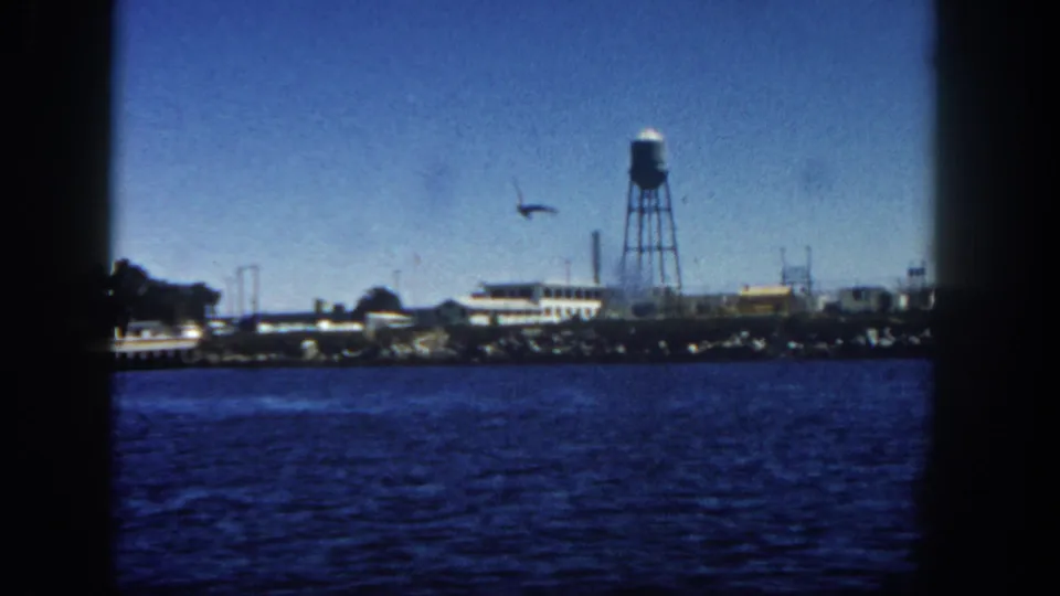 1962 San Diego waterfront from shipboard, showing a bird over the shoreline, low buildings, and the water tower set back from the water.