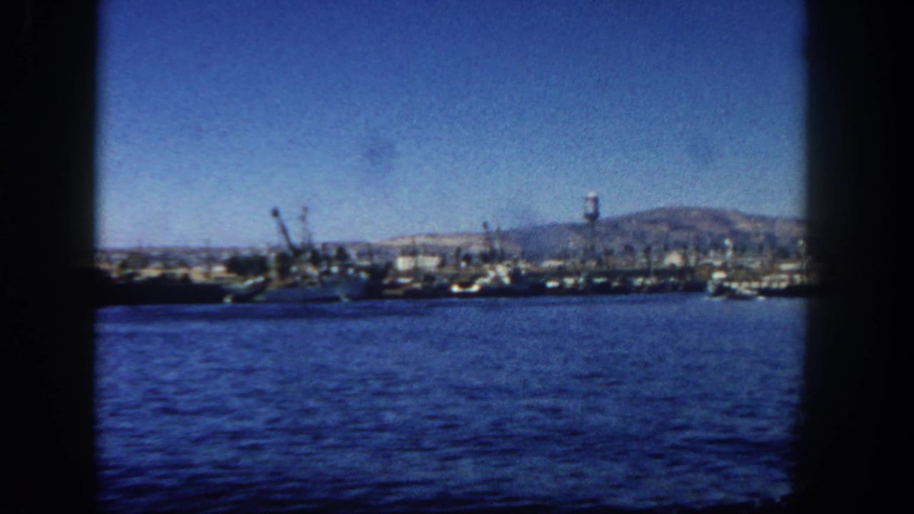 Distant waterfront shipyard with cranes and boats beyond rippled blue harbor water.