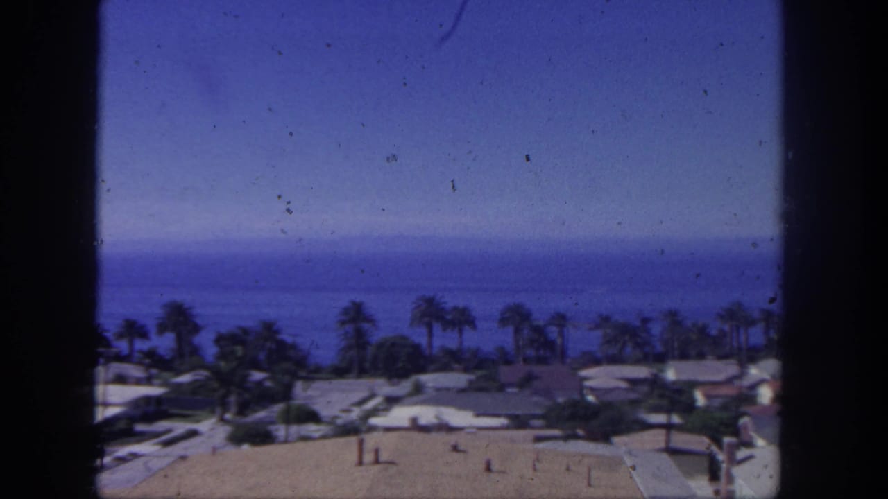 Palm-lined residential shoreline with rooftops, ocean horizon, blue sky, and film dust marks.