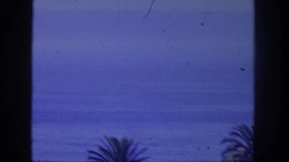 Final 8mm frame from the San Pedro coastal view, emphasizing blue ocean and sky with palm fronds along the lower edge.