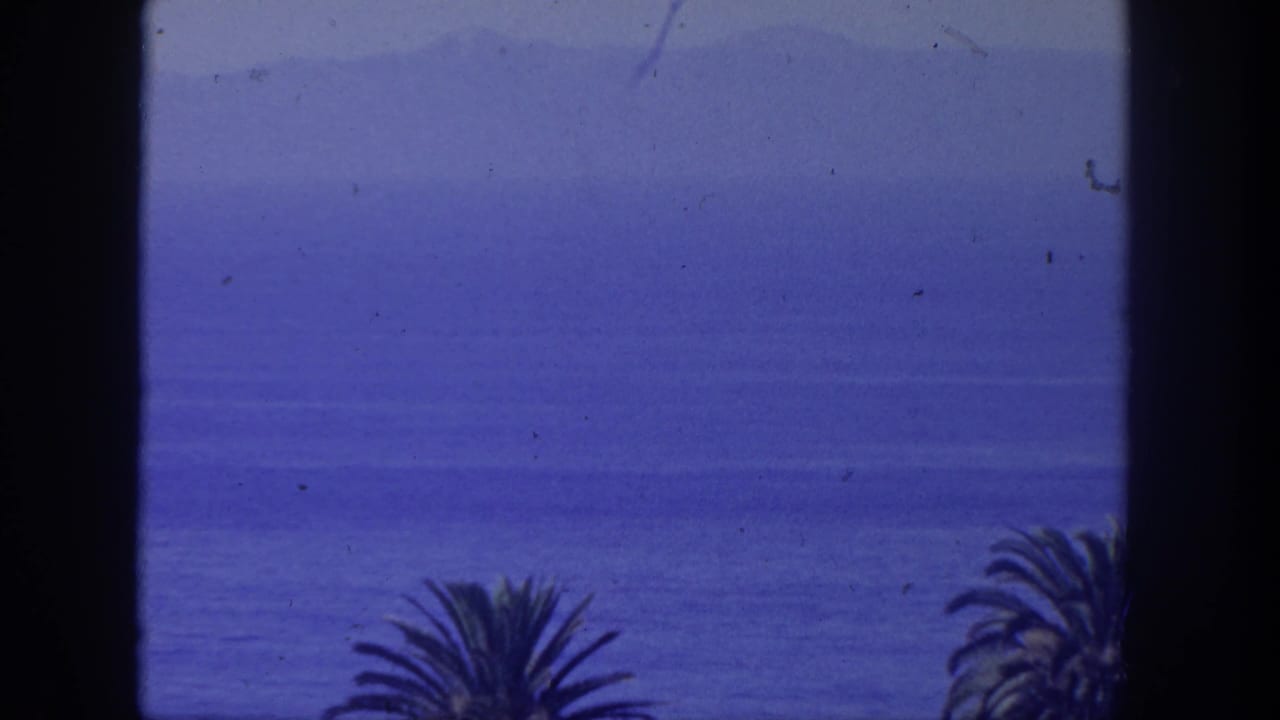 Blue ocean seen through dark window trim with palm tops at the bottom.