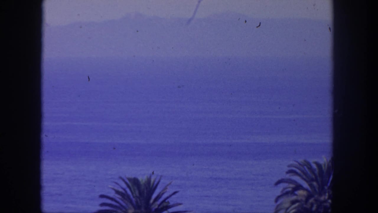 Hazy ocean horizon with dark vertical window trim and palm fronds below.