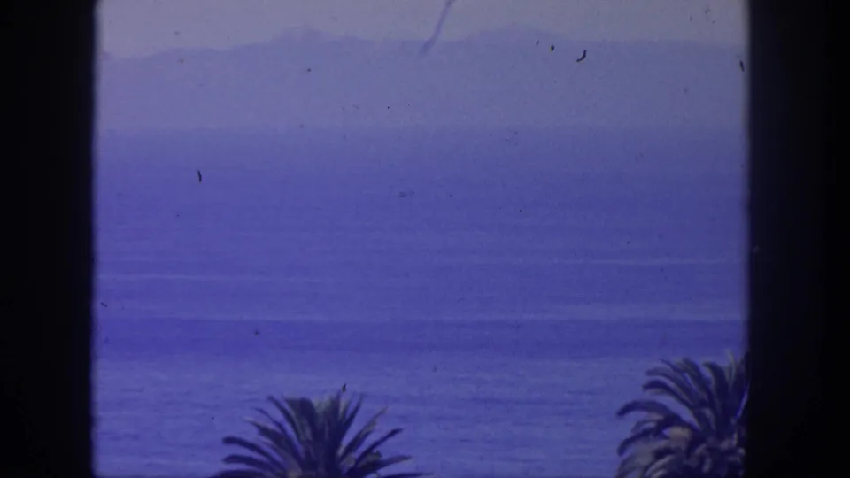 1962 San Pedro coastal view with blue sea, distant hills, dark window trim, and silhouetted palm fronds near the bottom of the frame.
