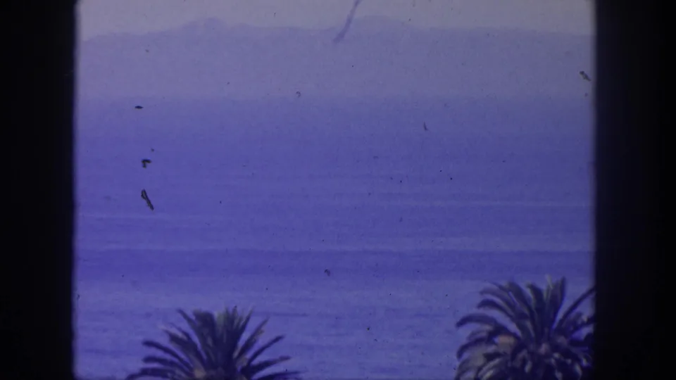 1962 San Pedro seascape frame with a blue ocean horizon, soft distant landforms, palm crowns, and dark window edges.