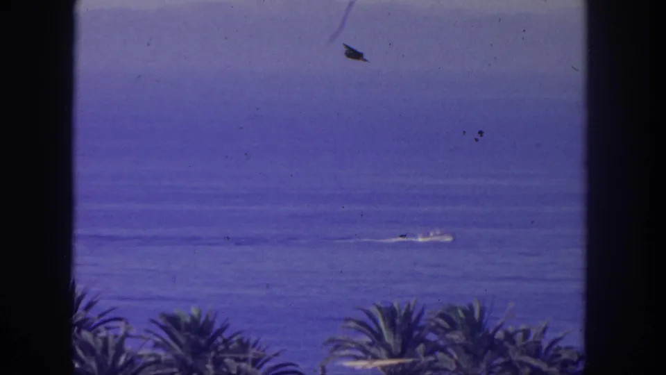1962 San Pedro ocean view with a small distant boat wake, palm crowns along the bottom, hazy hills, and dark window trim.