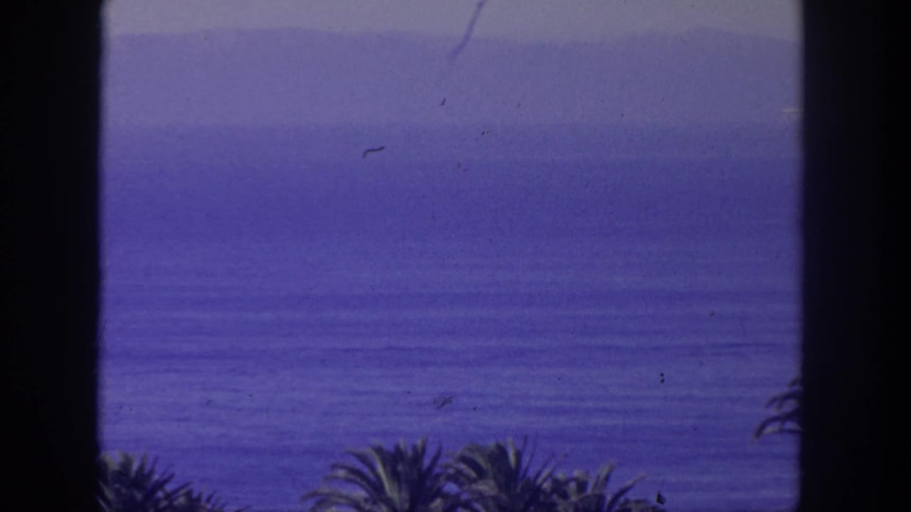San Pedro coastal home-movie frame showing a blue ocean horizon, foreground palms, dark trim, dust, and slight color shift.