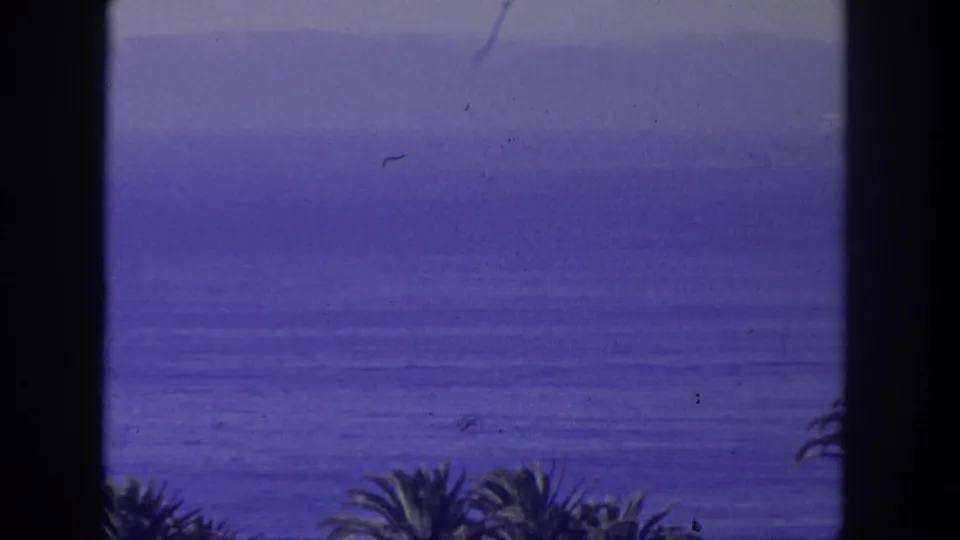 San Pedro coastal home-movie frame showing a blue ocean horizon, foreground palms, dark trim, dust, and slight color shift.