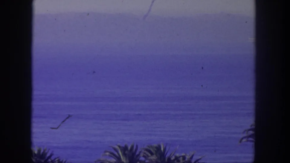 1962 8mm coastal view from San Pedro, with soft blue water, foreground palm tops, dark frame edge, and visible film wear.