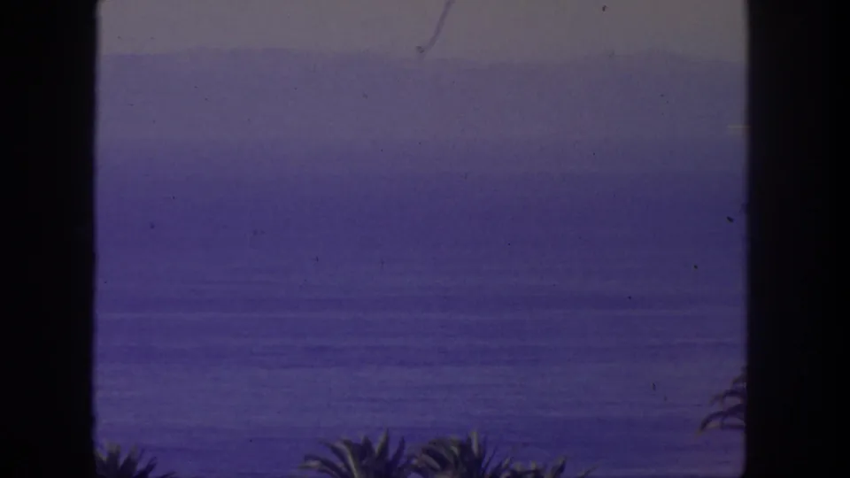 San Pedro ocean view on 8mm film, showing haze over calm water, lower palm fronds, dark framing, and blue-purple color drift.
