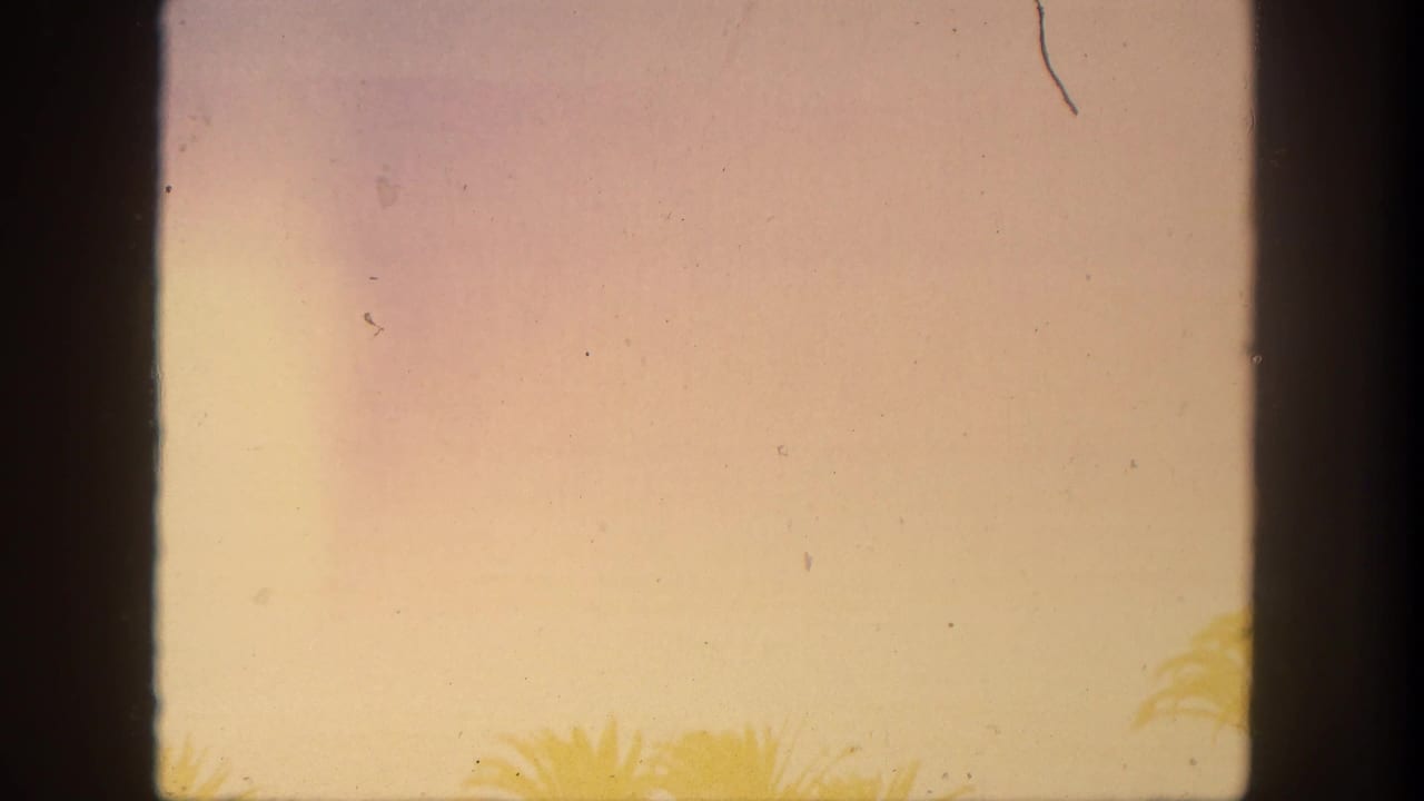 Bright hazy view through dark window bars with faint palm fronds and film dust.