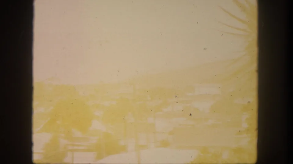 Faded 1962 San Pedro town view through a window, showing rooftops, palms, and bright coastal haze.
