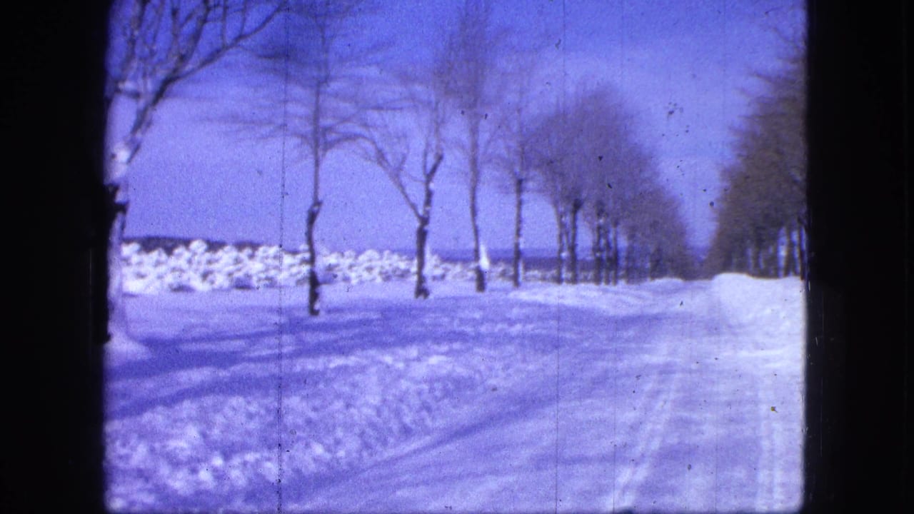 Snowy road lined with bare trees and snowbanks under a pale blue sky.