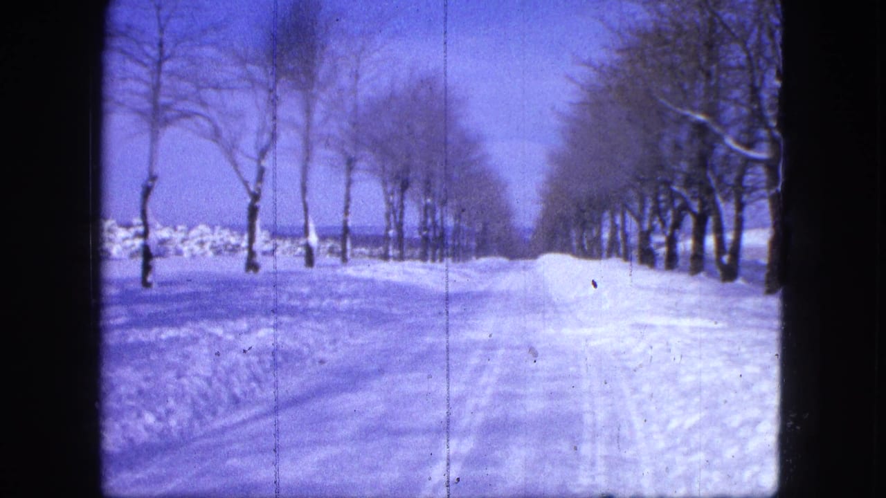 Snow-covered road with tree rows on both sides and plowed banks along the edge.