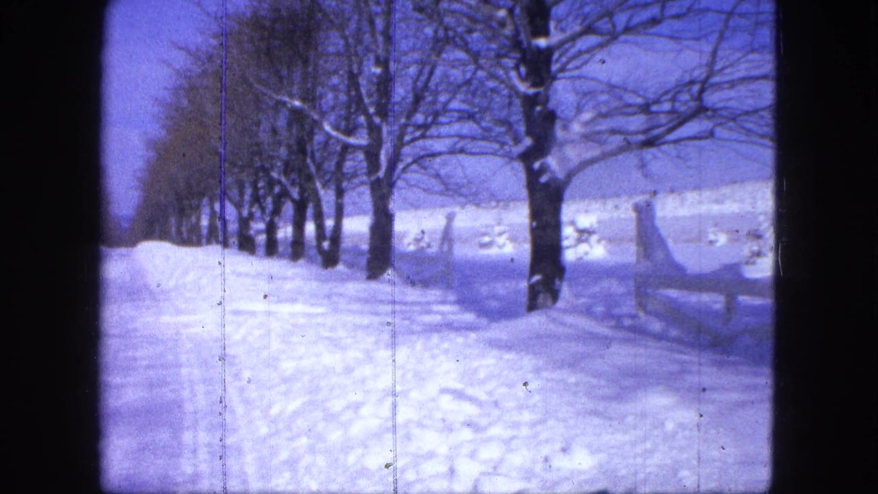 Snowy road lined with bare trees and a low fence under a blue sky.