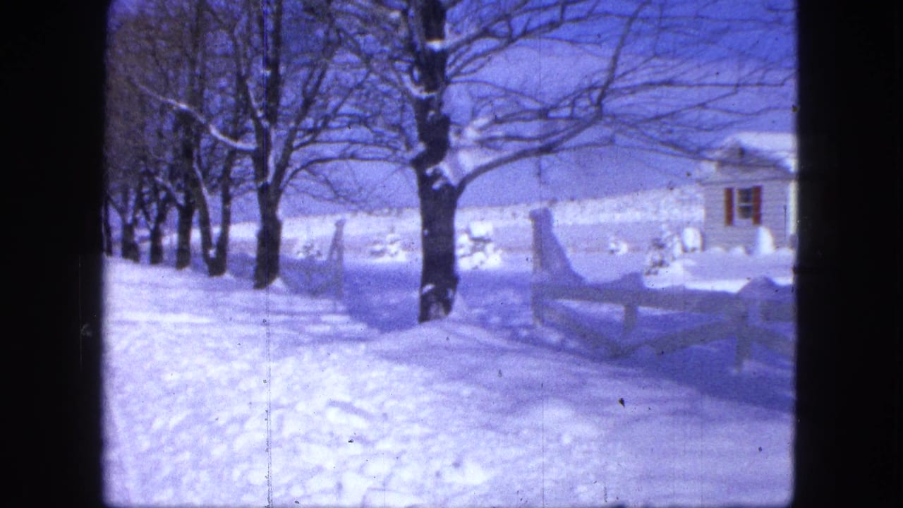 Snowy roadside with trees, fence, and a white house partly visible at right.