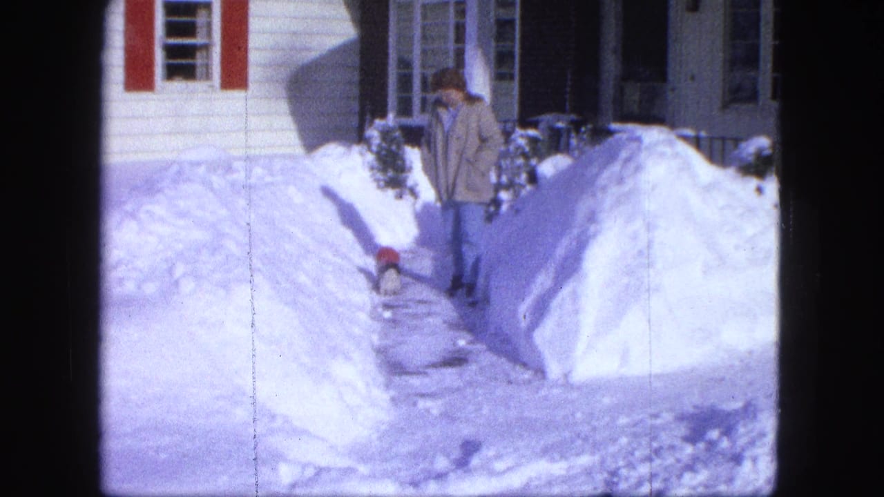 Woman in a light coat walking a small dog along a shoveled path between snowbanks.