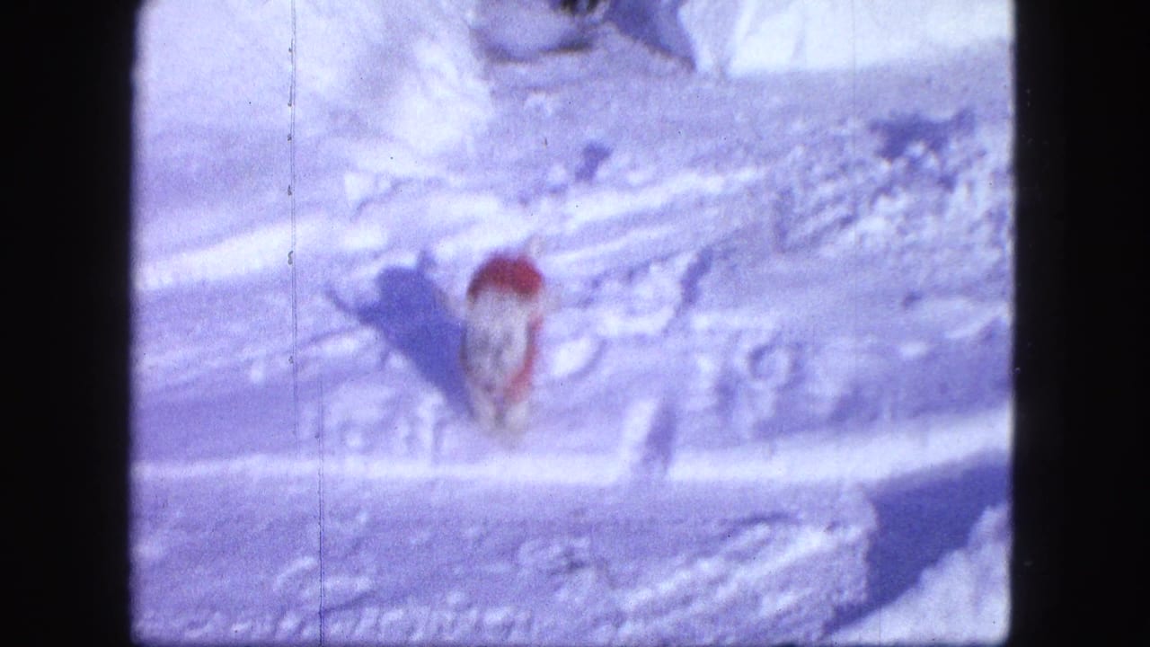 Small dog in a red coat moving through deep snow beside tire tracks.