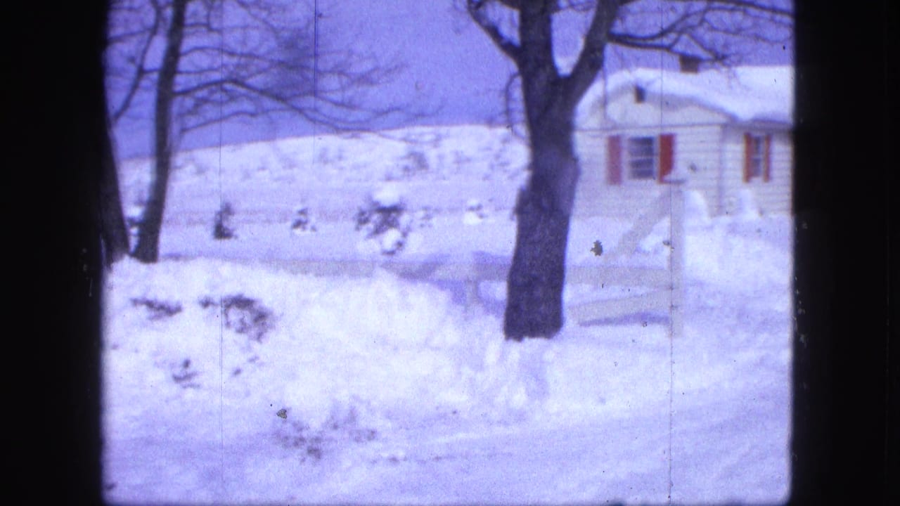 Snowbank, bare tree, and white house partly visible beyond a plowed yard.